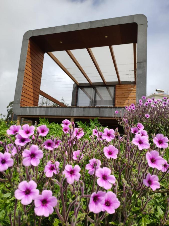Calheta Glamping Pods - Nature Retreat Екстериор снимка