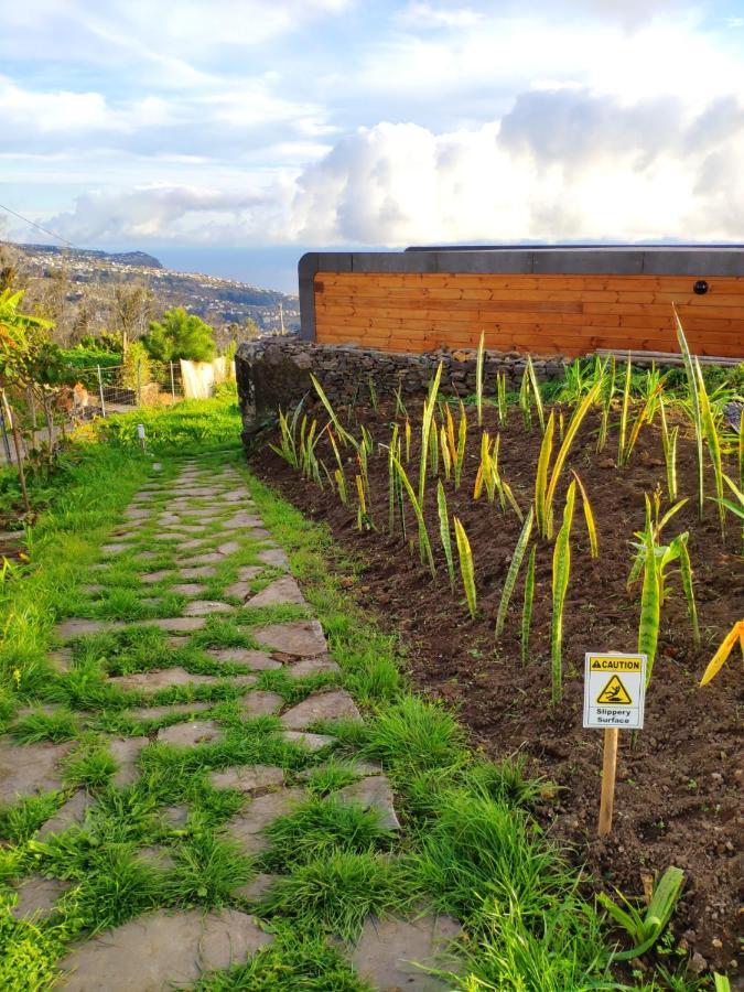 Calheta Glamping Pods - Nature Retreat Екстериор снимка